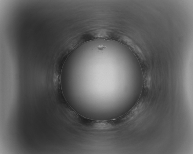 X0000102380521200808081140