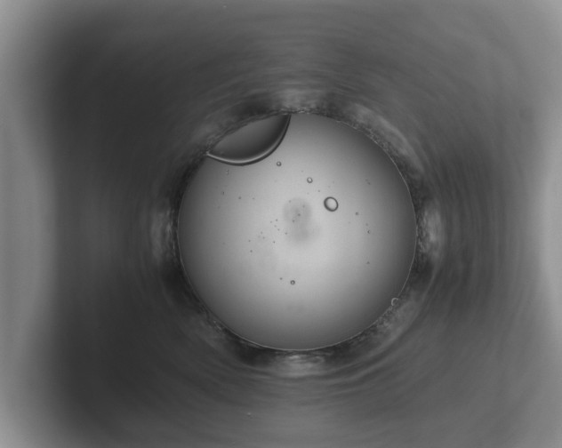 X0000102380522200808081140