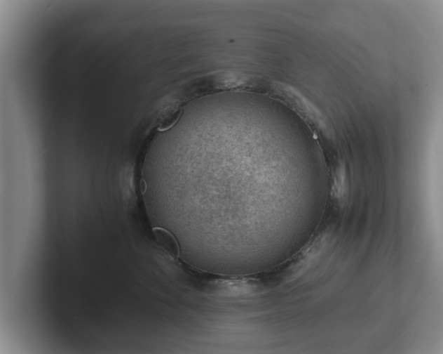 X0000102380524200808081140