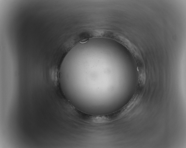 X0000102380525200808081140