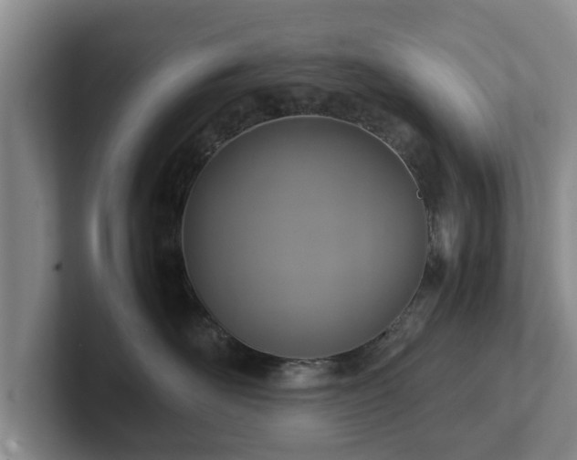 X0000102380526200808081140