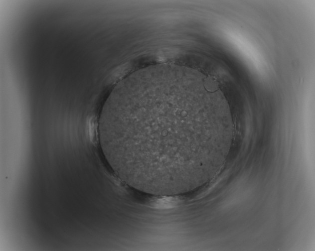 X0000102380527200808081140