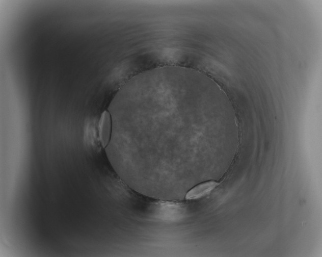 X0000102380528200808081140