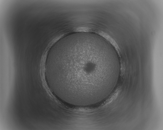 X0000102380529200808081139