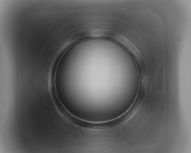 X0000102380530200808081139