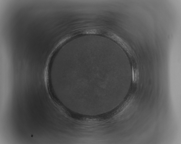 X0000102380531200808081139