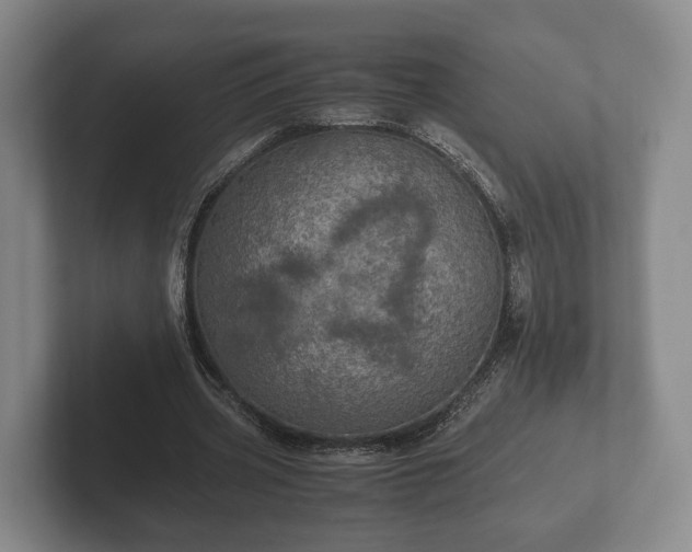 X0000102380533200808081139