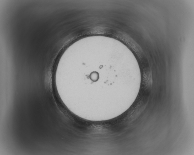 X0000102380534200808081139