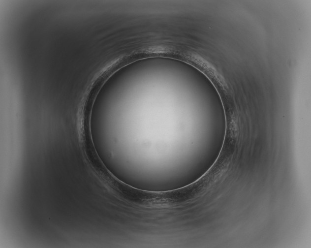 X0000102380535200808081139