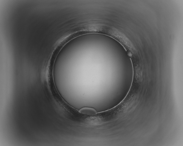 X0000102380536200808081139