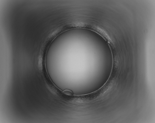 X0000102380538200808081139