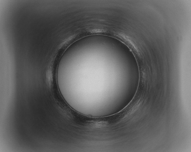 X0000102380539200808081139