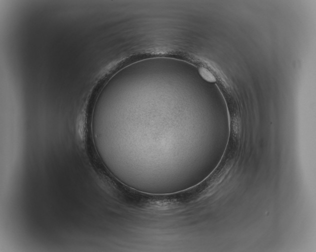 X0000102380540200808081139