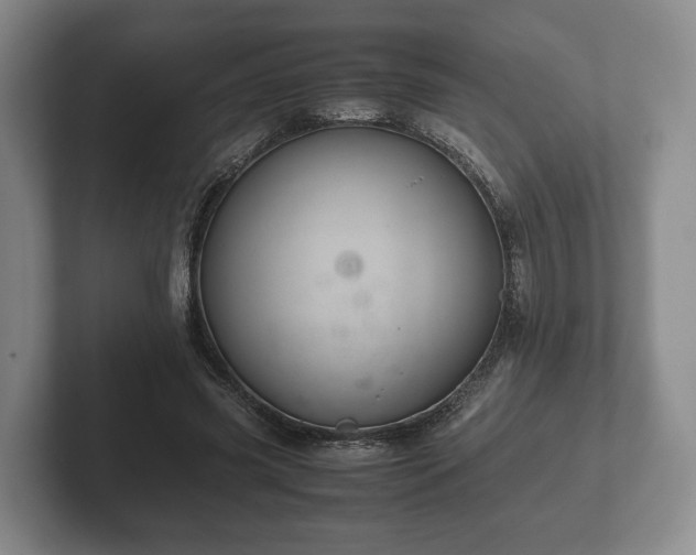 X0000102380541200808081139