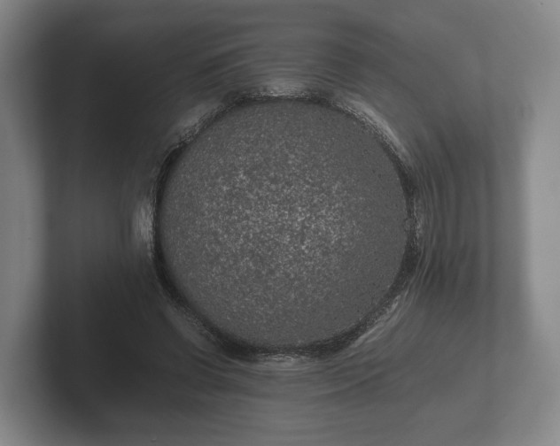 X0000102380542200808081139