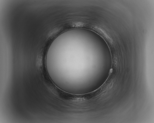 X0000102380543200808081139