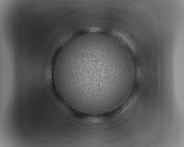 X0000102380545200808081139