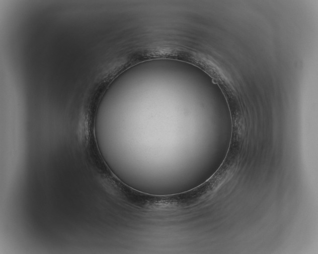 X0000102380546200808081139