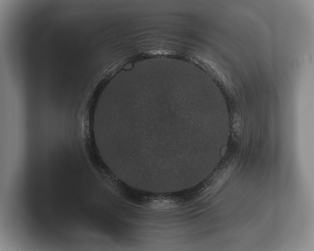 X0000102380547200808081139