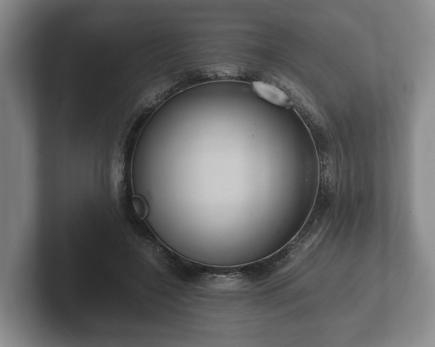 X0000102380548200808081139