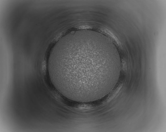 X0000102380549200808081139