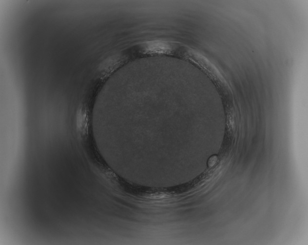 X0000102380551200808081139