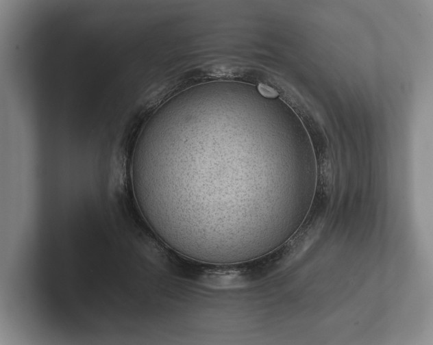 X0000102380554200808081139