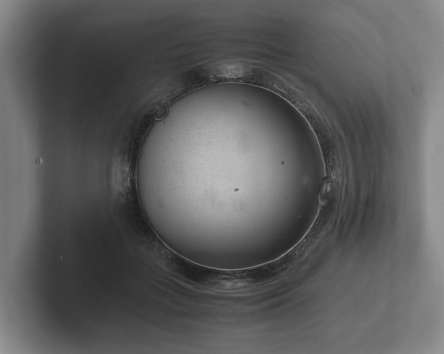 X0000102380555200808081139