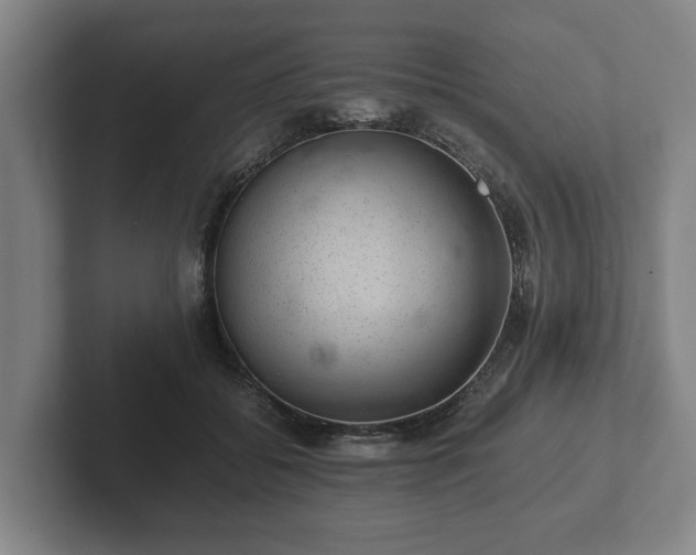 X0000102380556200808081139