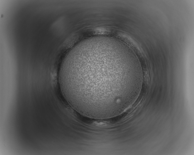 X0000102380557200808081140