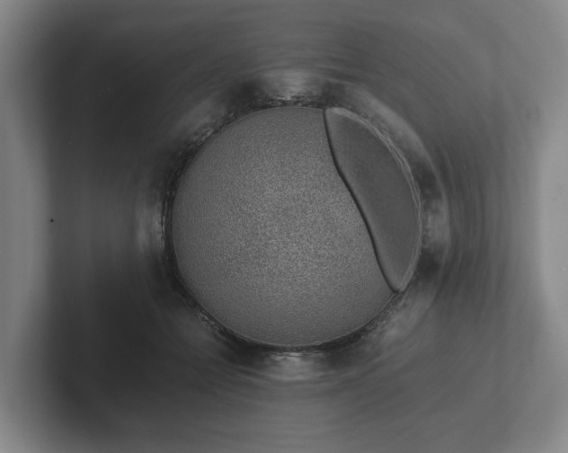 X0000102380558200808081140