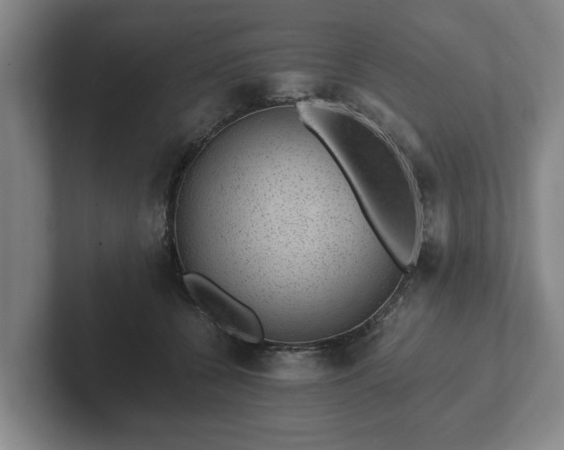 X0000102380560200808081140