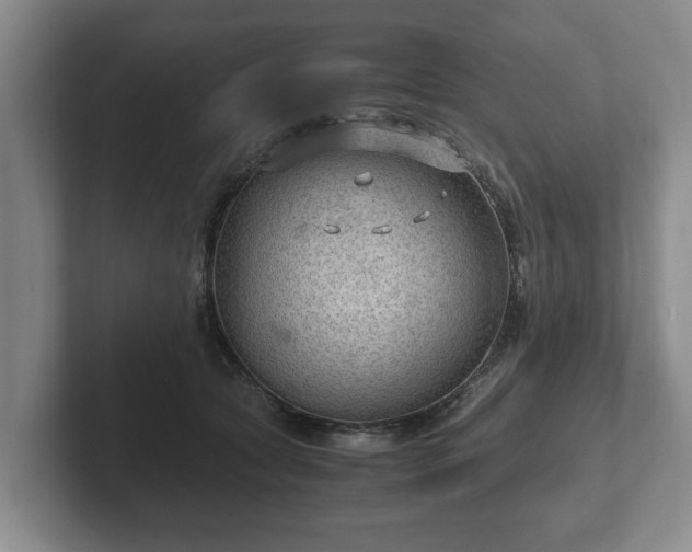 X0000102380561200808081140