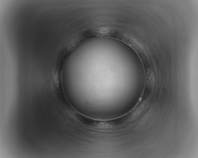 X0000102380562200808081140