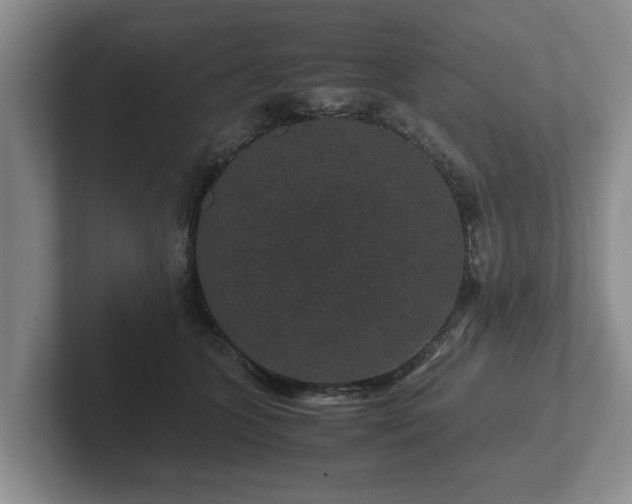 X0000102380563200808081140