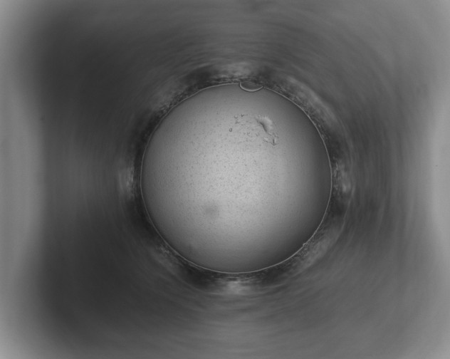 X0000102380564200808081140