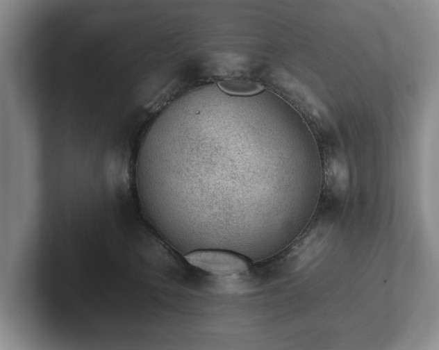 X0000102380566200808081140