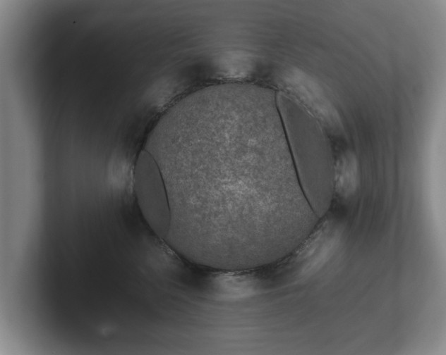 X0000102380568200808081140