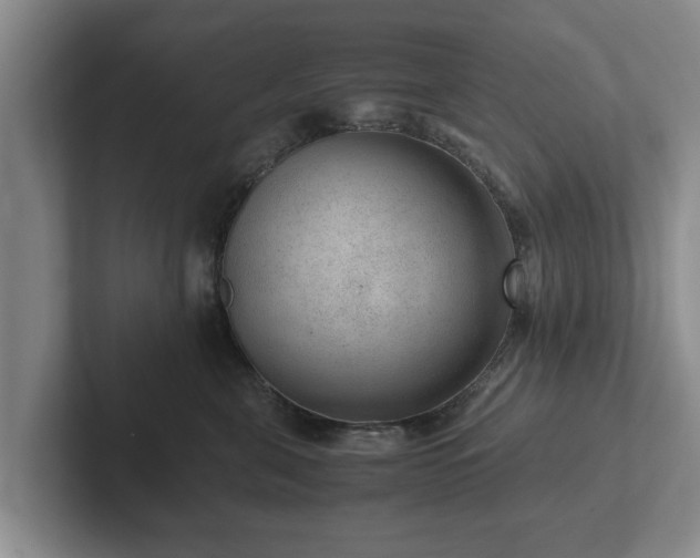 X0000102380571200808081140