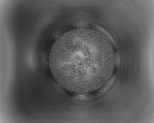 X0000102380573200808081140