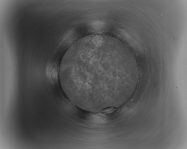 X0000102380576200808081140