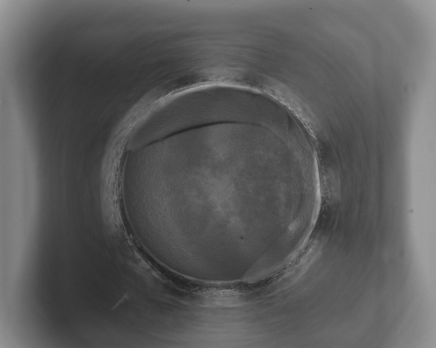 X0000102380577200808081139