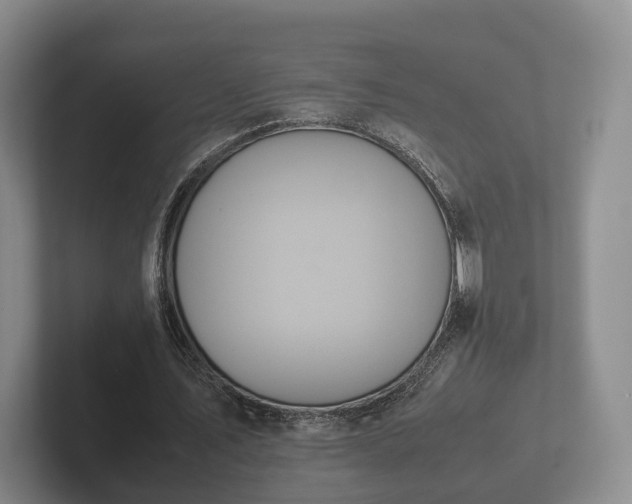 X0000102380579200808081139