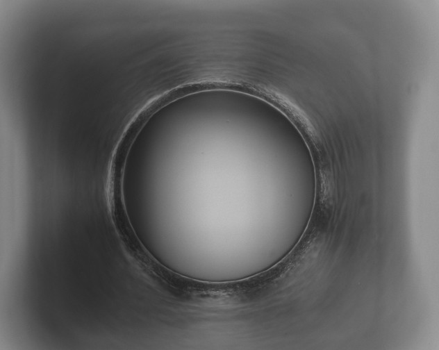 X0000102380580200808081139