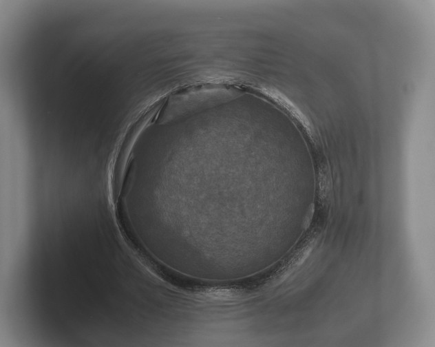 X0000102380581200808081139