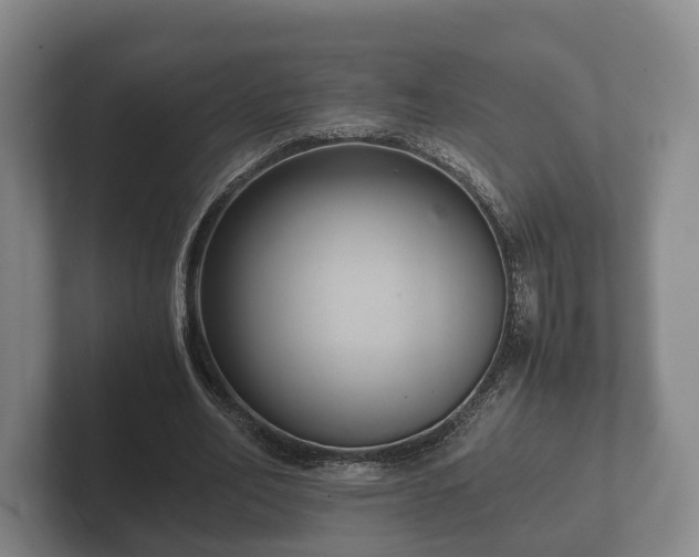 X0000102380582200808081139