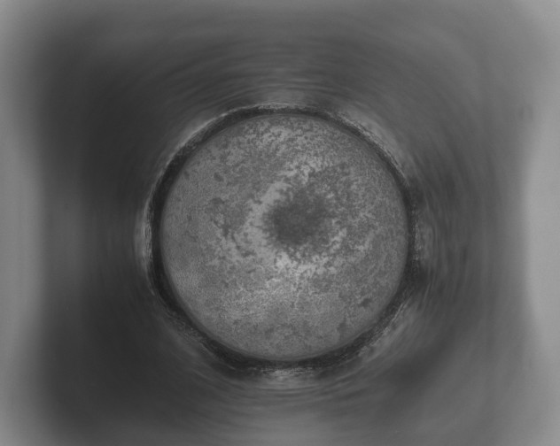 X0000102380584200808081139