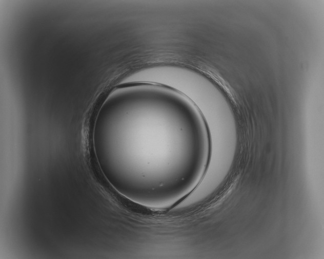 X0000102380585200808081139