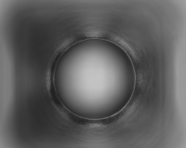 X0000102380586200808081139