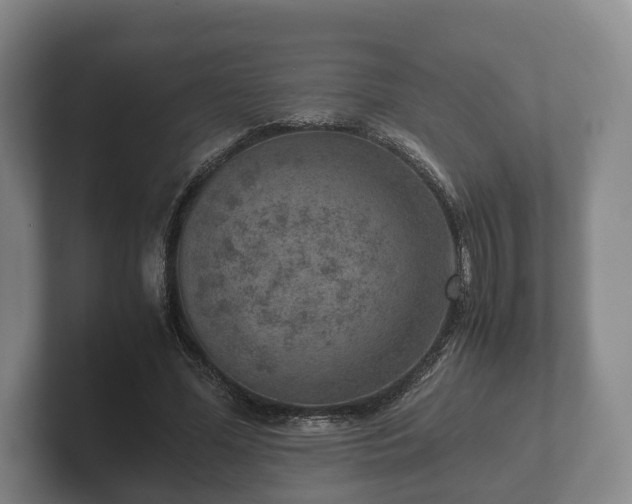 X0000102380588200808081139